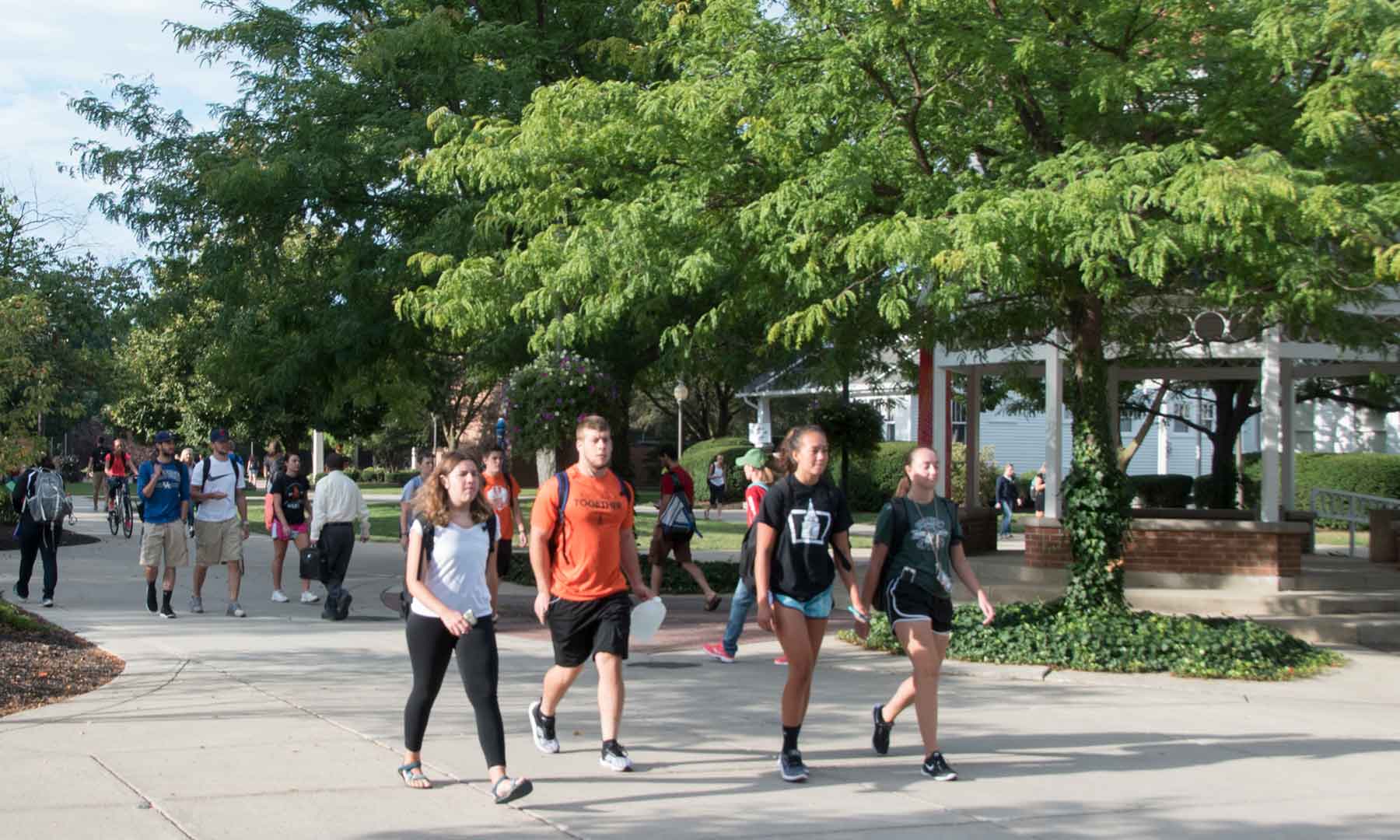 University of Findlay