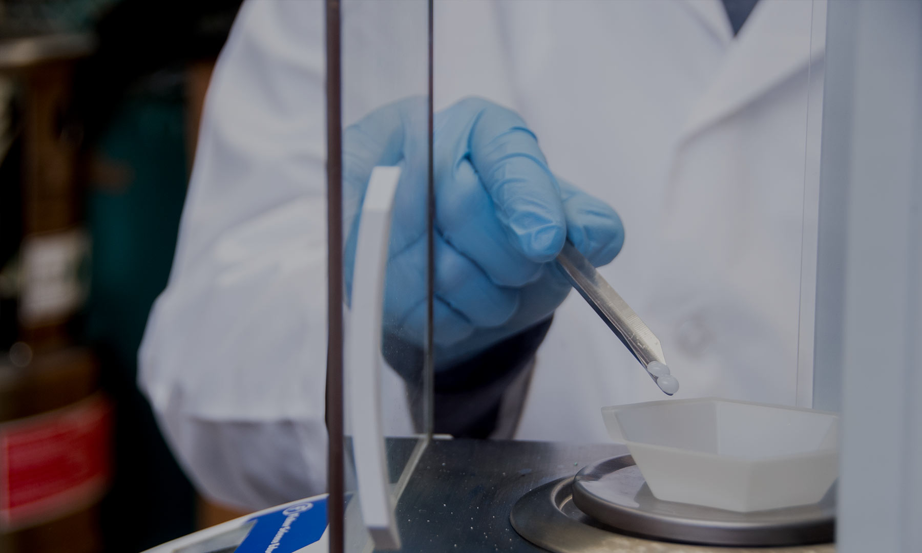 Forensic Biology Major