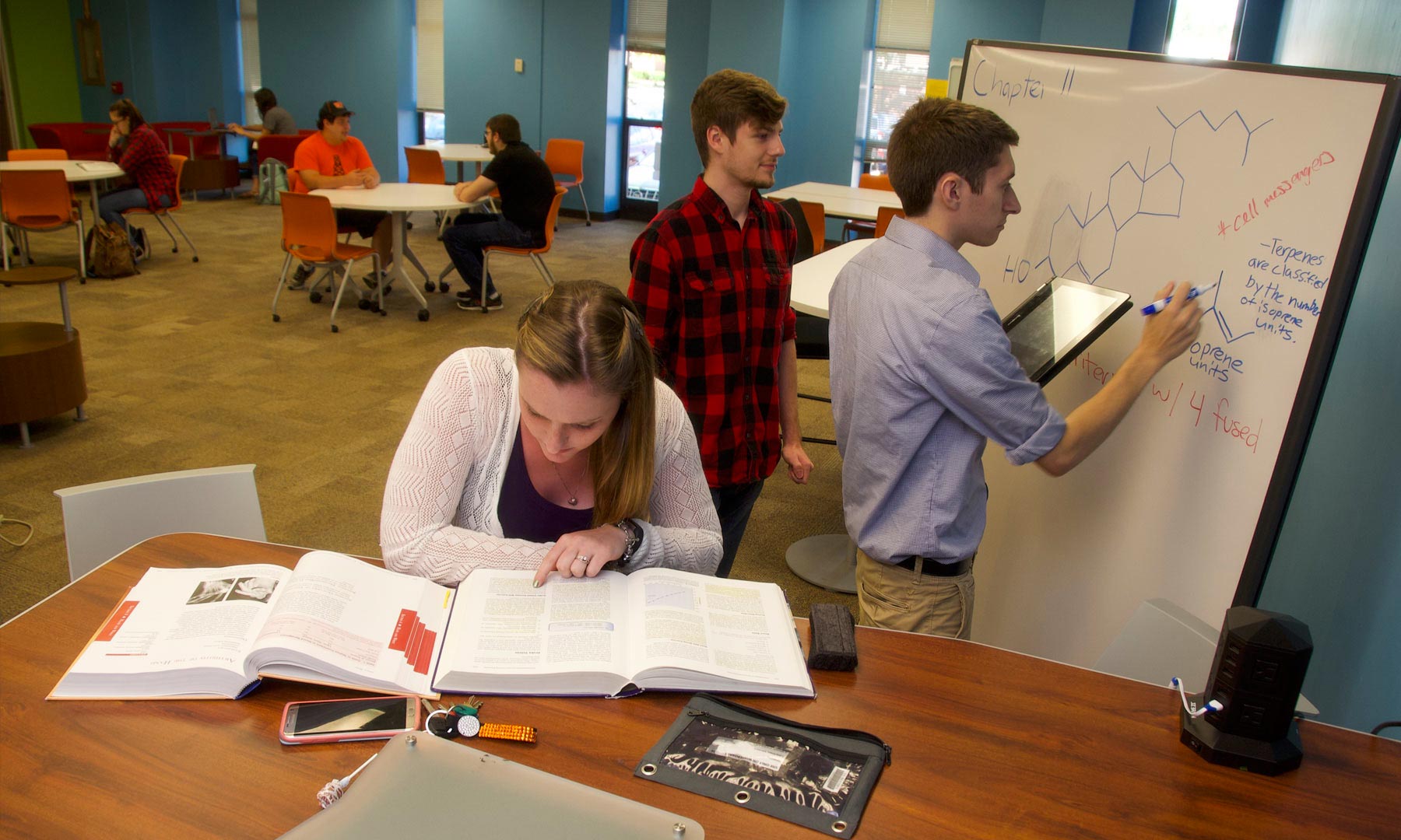 Honors Students Studying