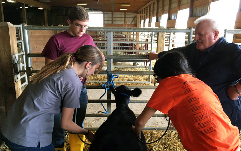 Preveterinary Medicine