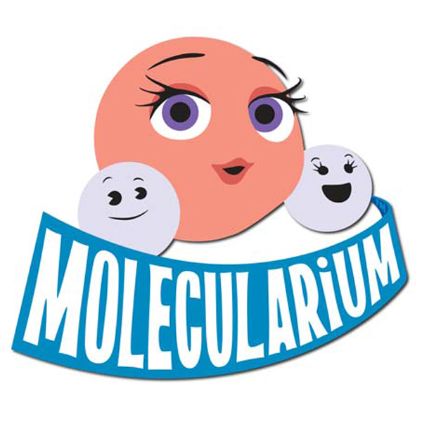 Molecularium Chemistry Program