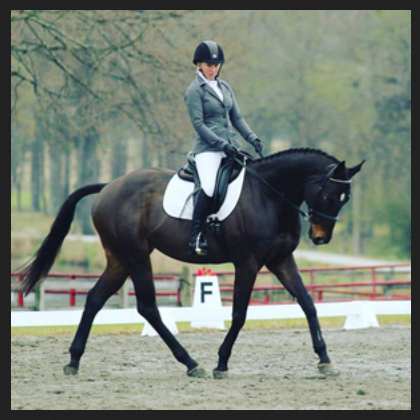 Dressage Rider