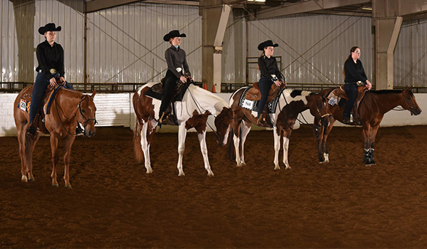 Horses Lined up at Finals